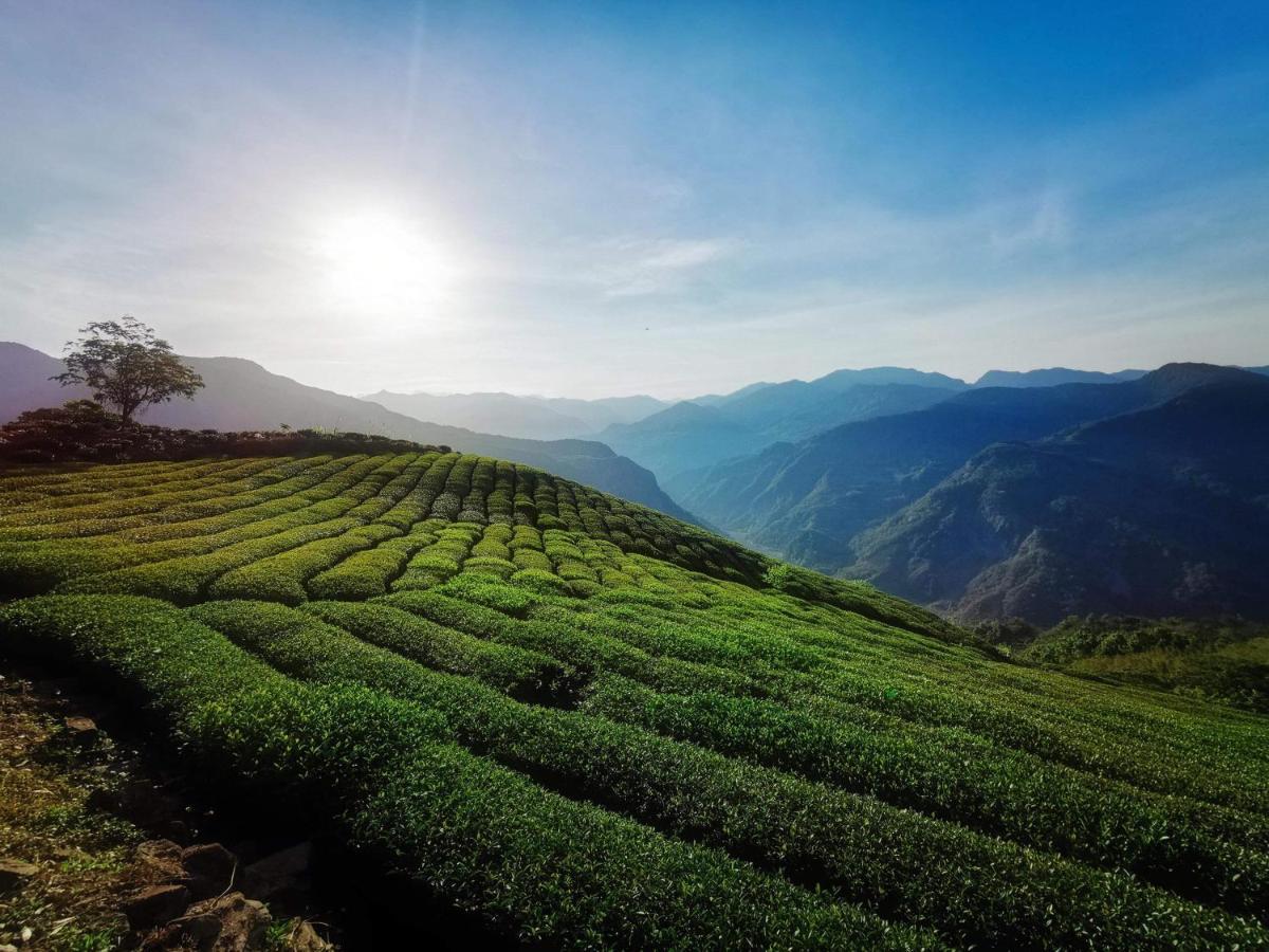 Alishan Tea Homestay Leye Eksteriør billede