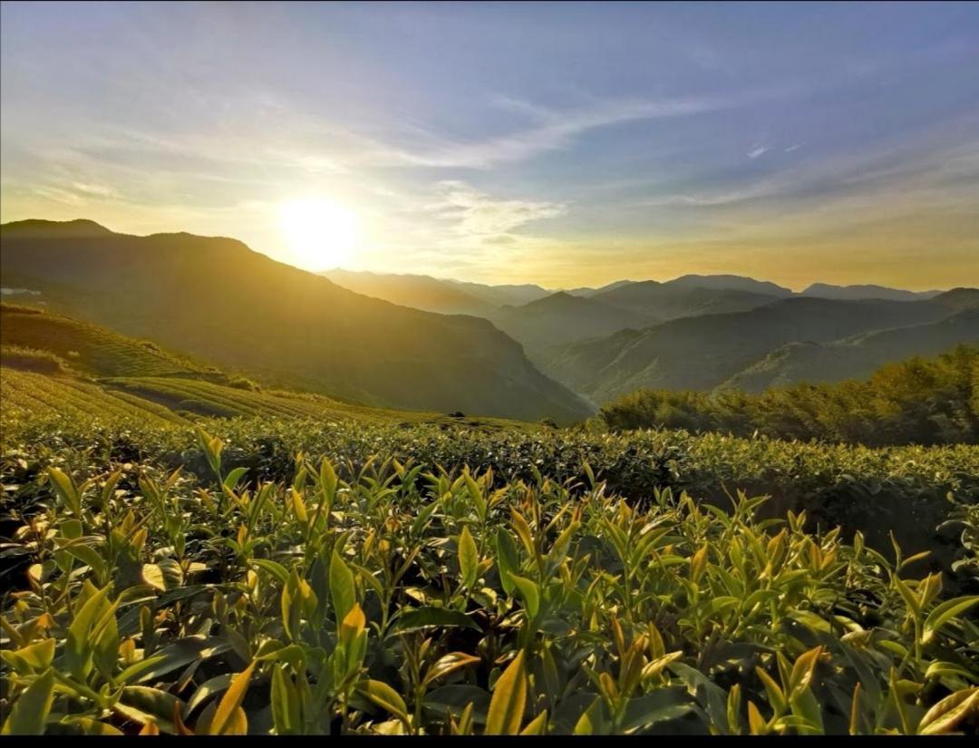 Alishan Tea Homestay Leye Eksteriør billede